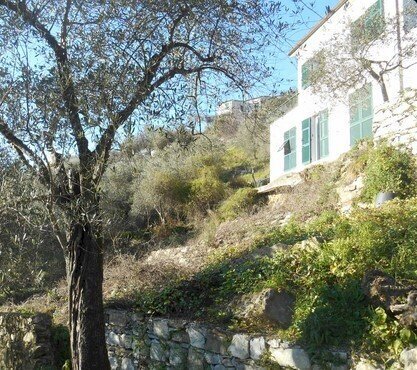 2.jpg - Villa all'asta Via IV Novembre snc, Leivi - foto 1