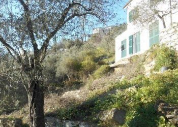 2.jpg - Villa all'asta Via IV Novembre snc, Leivi - foto 1