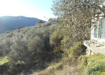 5.jpg - Villa all'asta Via IV Novembre snc, Leivi - foto 4