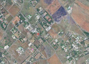 3.jpg - Terreno agricolo Via Natalia Ginzburg 14, Lecce - foto 3