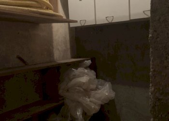 IMG_0015.jpg - Appartamento Pietrasanta - foto 16