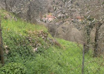 IMG_0029.jpg - Appartamento Pietrasanta - foto 17