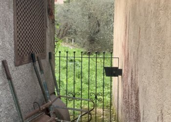 IMG_0035.jpg - Appartamento Pietrasanta - foto 18