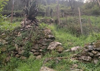 IMG_0030.jpg - Appartamento Pietrasanta - foto 19