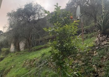 IMG_0031.jpg - Appartamento Pietrasanta - foto 20