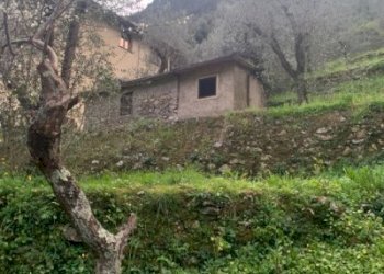 IMG_0037.jpg - Appartamento Pietrasanta - foto 21