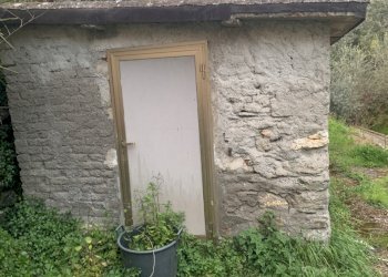 IMG_0032.jpg - Appartamento Pietrasanta - foto 22