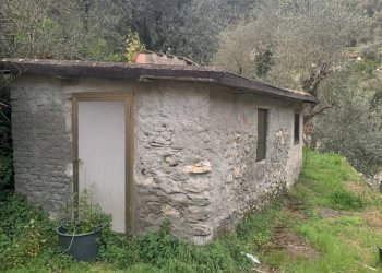 IMG_0033.jpg - Appartamento Pietrasanta - foto 23