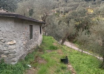 IMG_0034.jpg - Appartamento Pietrasanta - foto 24