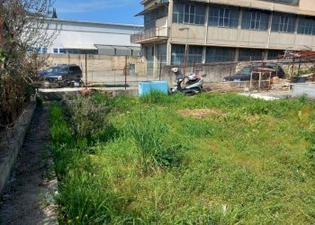 WhatsApp Image 2026-03-30 at 11.48.31.jpeg - Baita Via Empolitana 314, Tivoli - foto 5