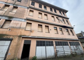 IMG_7072.JPG - Locale Commerciale Strada dell'Arrivore 25, Torino (zona Regio Parco) - foto 6