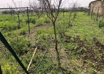 WhatsApp Image 2026-03-26 atd 11.29.32.jpeg - Villa Contrada Pirato Cava Maria 47, Modica - photo 12