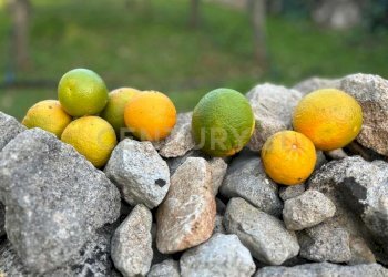 WhatsApp Imazge 2026-03-27 at 11.08.06.jpeg - Villa Contrada Pirato Cava Maria 47, Modica - photo 17