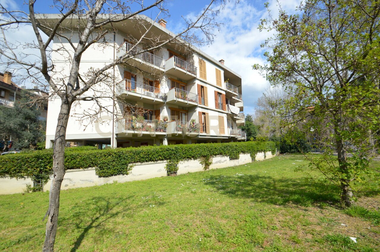 DSC_0495.JPG - Appartamento Via Senese 173/A, Grosseto - foto 1