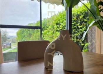 20260312_113422.jpg - Three-family Villa Via della Vigna, Castiglione della Pescaia - photo 14