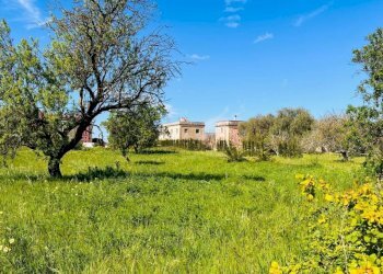 WhatsApp Image 2026-04-03 at 15.19.50 (1).jpeg - Terreno edificabile Via Monteroni 37 c, Lecce - foto 8