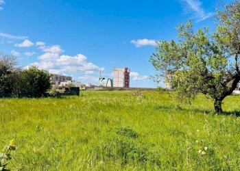 WhatsApp Image 2026-04-03 at 15.19.50 (2).jpeg - Terreno edificabile Via Monteroni 37 c, Lecce - foto 9