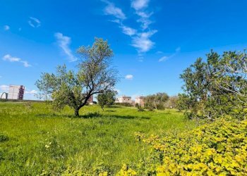 WhatsApp Image 2026-04-03 at 15.19.50 (6).jpeg - Terreno edificabile Via Monteroni 37 c, Lecce - foto 13