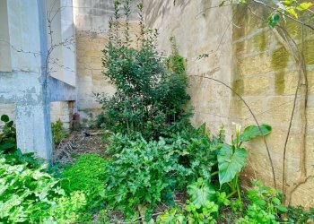 WhatsApp Image 2026-04-01 at 14.35.02_risultato.jp - Apartment Via Dalmazia 28, Lecce - photo 20