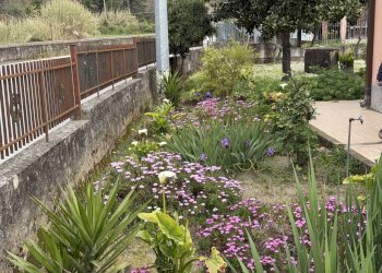 IMG_3896.jpeg - Casa indipendente Sarzana - foto 8