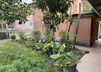 IMG_3899.jpeg - Casa indipendente Sarzana - foto 10