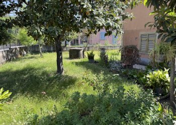 IMG_4686.JPG - Casa indipendente Sarzana - foto 2