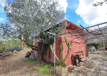 08c3c851-0cde-43c3-a71d-b4c4490692e4.jpg - Terreno agricolo Via Dello Scalo Ferroviario 12, Marcellina - foto 1