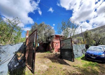 d60c06d5-892c-4f42-80a1-4ff348c16ffe.jpg - Terreno agricolo Via Dello Scalo Ferroviario 12, Marcellina - foto 4
