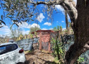 fbe525c4-d275-4df4-97a2-902699a0ef2c.jpg - Terreno agricolo Via Dello Scalo Ferroviario 12, Marcellina - foto 5