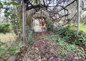 0e740278-221f-452c-9a31-0192c501530f.jpg - Terreno agricolo Via Dello Scalo Ferroviario 12, Marcellina - foto 6