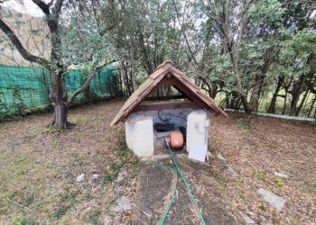 30af56a5-8956-43d4-934e-c367d969d6a6.jpg - Terreno agricolo Via Dello Scalo Ferroviario 12, Marcellina - foto 9