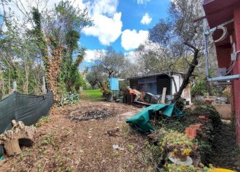 138d542d-f7c2-47c0-a6e4-19858477220c.jpg - Terreno agricolo Via Dello Scalo Ferroviario 12, Marcellina - foto 10