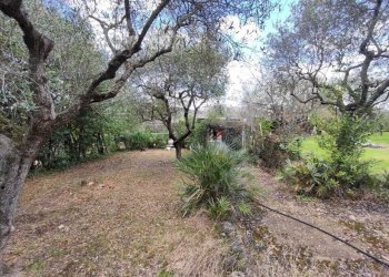 22128ede-3264-4676-9208-df84cb506335.jpg - Terreno agricolo Via Dello Scalo Ferroviario 12, Marcellina - foto 12