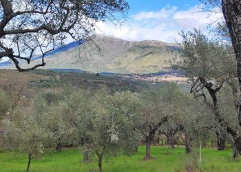 c781395e-e910-4e39-a80f-bedebd716a75.jpg - Terreno agricolo Via Dello Scalo Ferroviario 12, Marcellina - foto 13