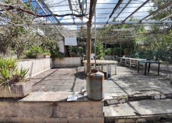 cbf79bc1-6a2e-4eb4-b792-1f0dc650c466.jpg - Terreno agricolo Via Dello Scalo Ferroviario 12, Marcellina - foto 14