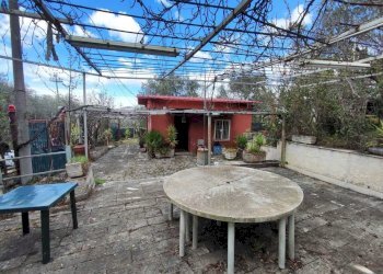 cc097713-828b-4863-a7cb-ca5b1e689f3b.jpg - Terreno agricolo Via Dello Scalo Ferroviario 12, Marcellina - foto 15