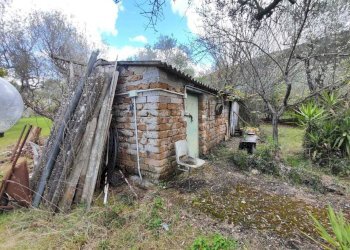 d0b2da6d-d92e-40f9-8e61-440fd95cb62c.jpg - Terreno agricolo Via Dello Scalo Ferroviario 12, Marcellina - foto 16
