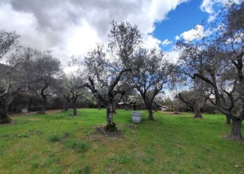 df848c46-e025-406e-a57e-7594242aded0.jpg - Terreno agricolo Via Dello Scalo Ferroviario 12, Marcellina - foto 24