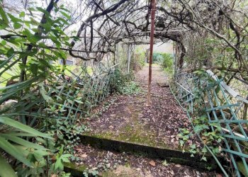 f7bde758-2c81-4ee7-bdad-4721c4bb905e.jpg - Terreno agricolo Via Dello Scalo Ferroviario 12, Marcellina - foto 26