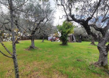 f1512a1d-5051-4cea-b0b0-43e65f53153a.jpg - Terreno agricolo Via Dello Scalo Ferroviario 12, Marcellina - foto 27