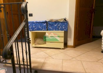 PHOTO-2025-10-27-18-11-08.jpg - Terratetto - Terracielo VIALE DELLE ACACIE, Ravenna - foto 6