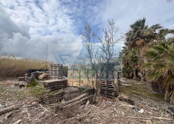 Shed Strada Statale, Siracusa - photo 5