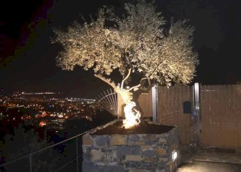 Giardino - Villa Località Bacezza Case Sparse, Chiavari - foto 36