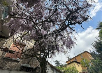 Quadrilocale Castel San Pietro Terme - foto 25