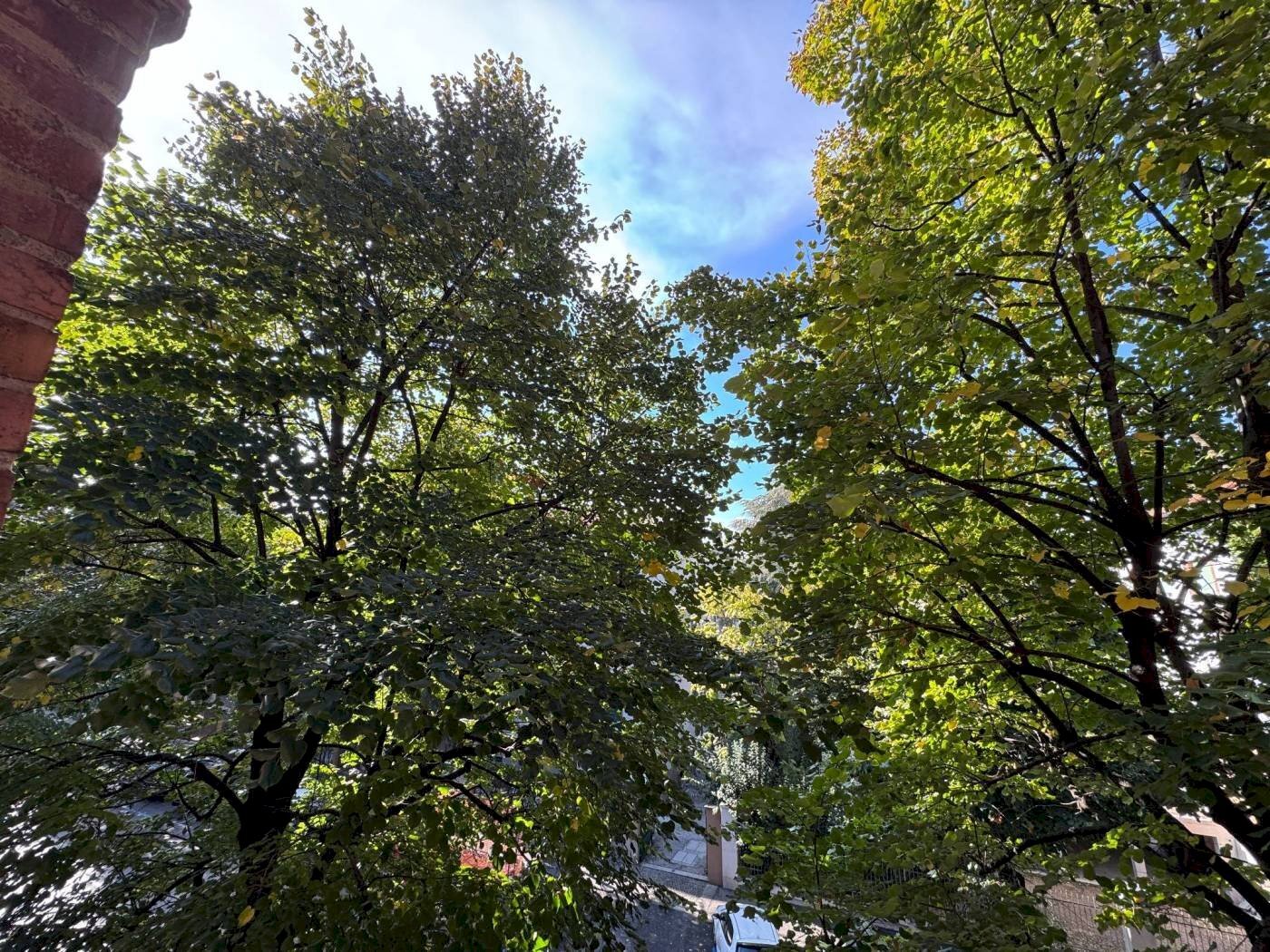 Giardino - Bilocale Via Ernesto Masi, Bologna (zona Massarenti) - foto 2