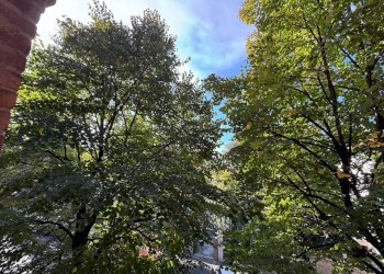 Giardino - Bilocale Via Ernesto Masi, Bologna (zona Massarenti) - foto 2