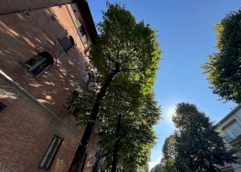 Zona - Bilocale Via Ernesto Masi, Bologna (zona Massarenti) - foto 35