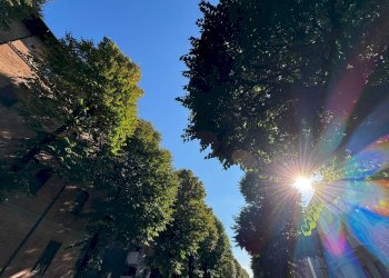 Zona - Bilocale Via Ernesto Masi, Bologna (zona Massarenti) - foto 36