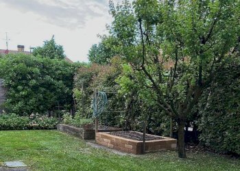 Giardino - Villa Bifamiliare Via Tazio Nuvolari, Budrio - foto 9