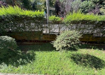 Trilocale Via Bellacosta, Bologna (zona Murri) - foto 3